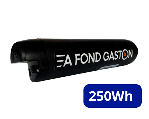 batterie 250Wh 36V 7Ah bouteille